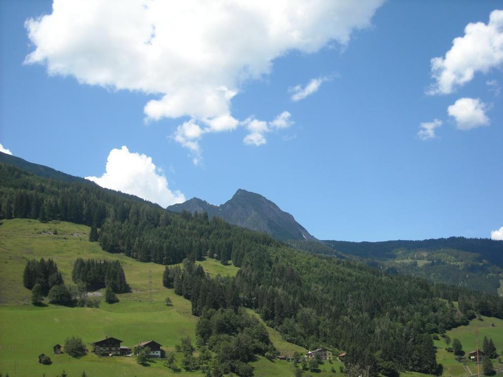 Landhaus & Appartementhaus Haussteiner Dorfgastein Room photo